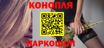 шишки Абакан