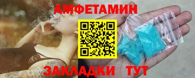 шишки Абакан